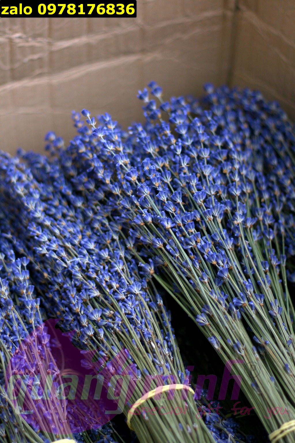 bó hoa lavender khô