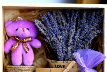 Hộp hoa lavender khô gỗ GẤU TÍM