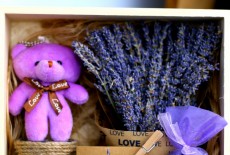 Hộp hoa lavender khô gỗ GẤU TÍM