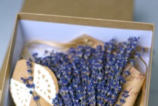 Hộp hoa lavender khô Vintage (COMBO cho CRUSH)