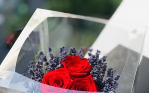 Lọ hoa lavender khô hoa hông vĩnh cửu