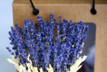 Lọ hoa lavender khô