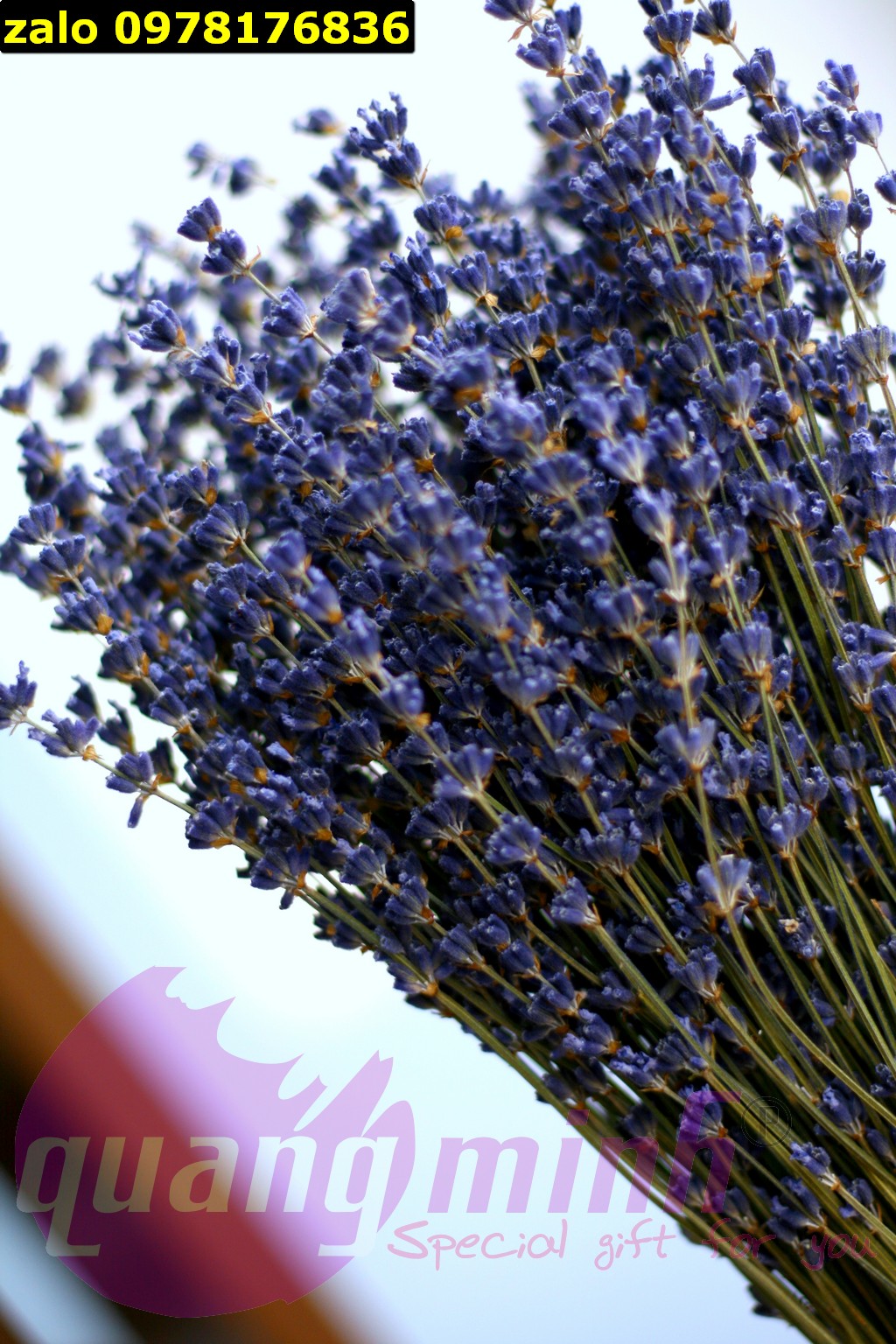 Bó hoa lavender khô (thô mua về tự cắm)